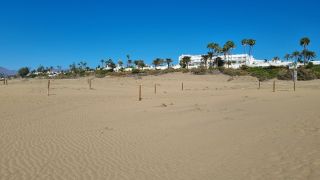 2023-GC--Mapalomas dunas-S123-103.jpg